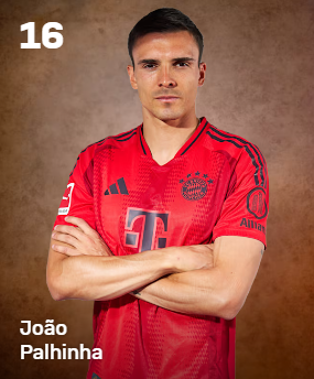 16 Joao Palhinha